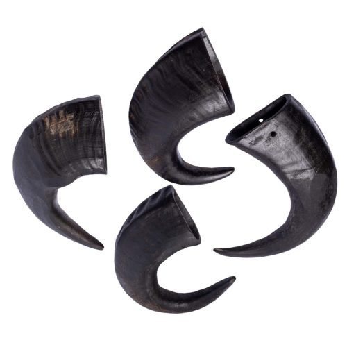 Buffalo-horn-1-Copy