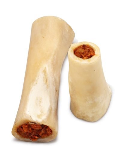 Femur-bone-Stuffed-1