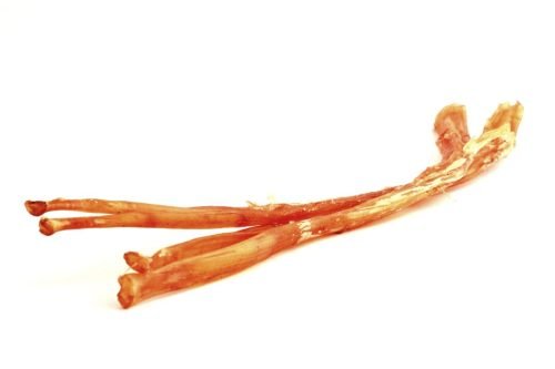 Hock-Tendon-2