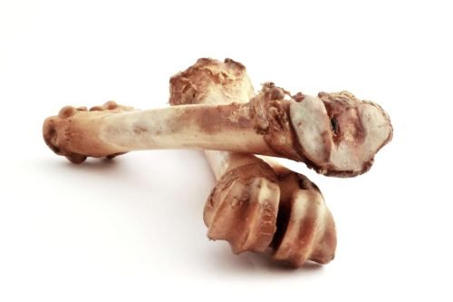 Metatarsal-BoneMeaty